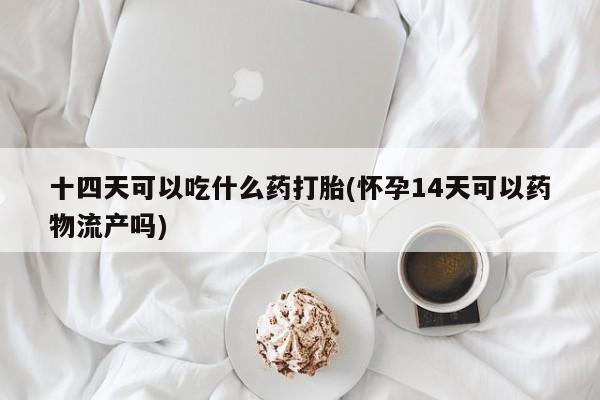 米非米索购买链接联系微信十四天可以吃什么药打胎(怀孕14天可以药物流产吗)